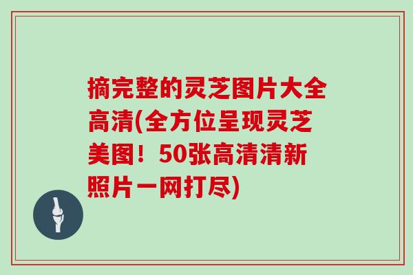 摘完整的灵芝图片大全高清(全方位呈现灵芝美图!50张高清清新照片一网打尽) 摘完整的灵芝图片大全高清(全方位呈现灵芝美图!50张高清清新照片一网打尽)