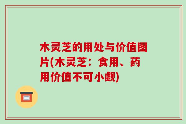 木灵芝的用处与价值图片(木灵芝:食用、药用价值不可小觑) 木灵芝的用处与价值图片(木灵芝:食用、药用价值不可小觑)