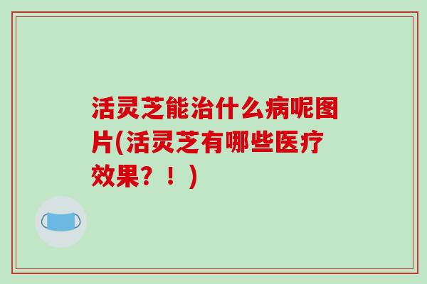 活灵芝能什么呢图片(活灵芝有哪些医疗效果？！)