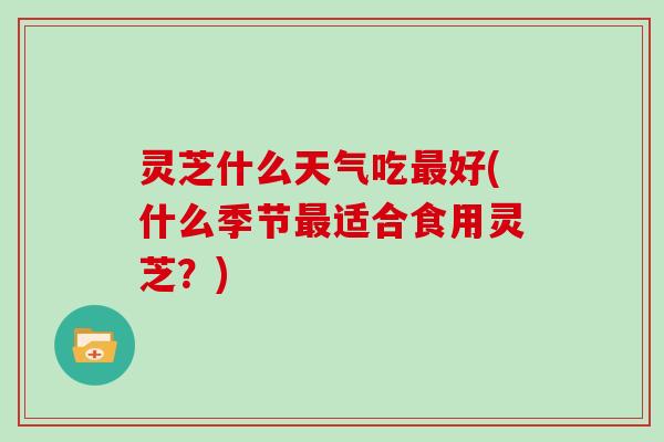 灵芝什么天气吃好(什么季节适合食用灵芝?) 灵芝什么天气吃好(什么季节适合食用灵芝?)