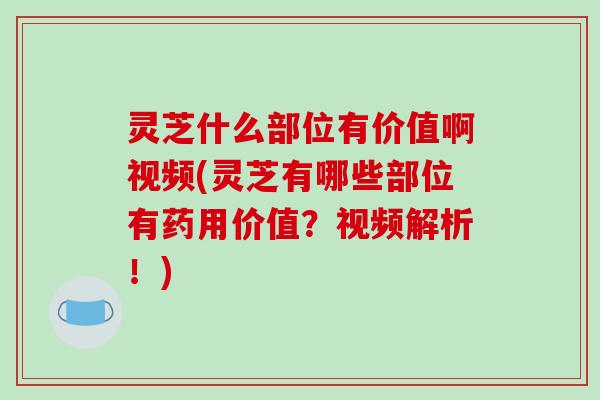 灵芝什么部位有价值啊视频(灵芝有哪些部位有药用价值?视频解析!) 灵芝什么部位有价值啊视频(灵芝有哪些部位有药用价值?视频解析!)