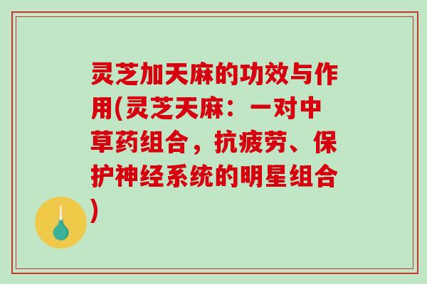 灵芝加天麻的功效与作用(灵芝天麻：一对中草药组合，、保护系统的明星组合)