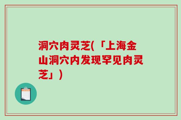 洞穴肉灵芝(「上海金山洞穴内发现罕见肉灵芝」) 洞穴肉灵芝(「上海金山洞穴内发现罕见肉灵芝」)