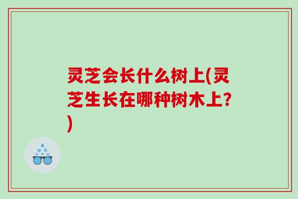 灵芝会长什么树上(灵芝生长在哪种树木上?) 灵芝会长什么树上(灵芝生长在哪种树木上?)