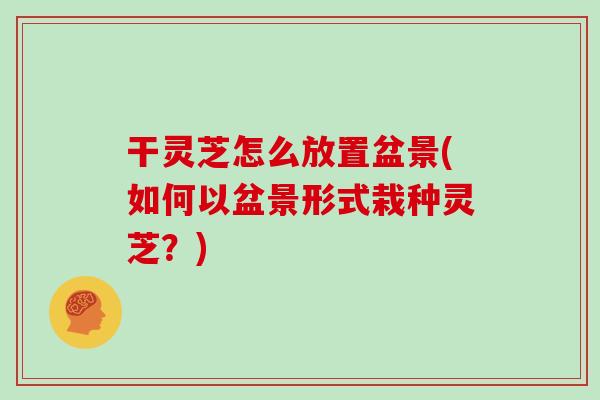 干灵芝怎么放置盆景(如何以盆景形式栽种灵芝？)