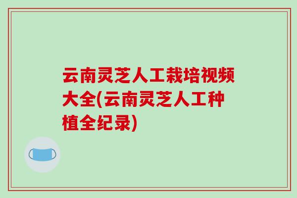 云南灵芝人工栽培视频大全(云南灵芝人工种植全纪录) 云南灵芝人工栽培视频大全(云南灵芝人工种植全纪录)