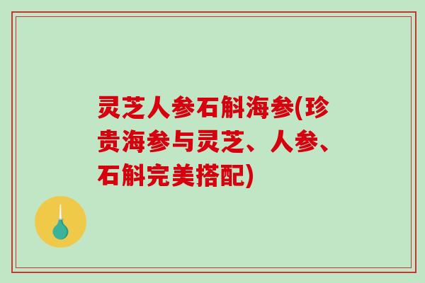 灵芝人参石斛海参(珍贵海参与灵芝、人参、石斛完美搭配) 灵芝人参石斛海参(珍贵海参与灵芝、人参、石斛完美搭配)