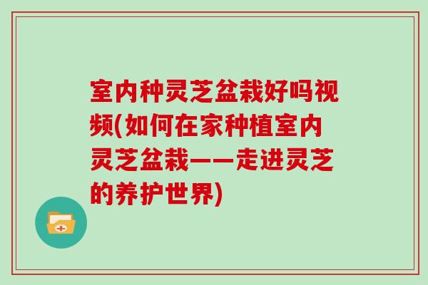 室内种灵芝盆栽好吗视频(如何在家种植室内灵芝盆栽——走进灵芝的养护世界)