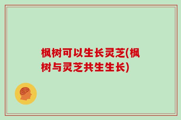 枫树可以生长灵芝(枫树与灵芝共生生长) 枫树可以生长灵芝(枫树与灵芝共生生长)