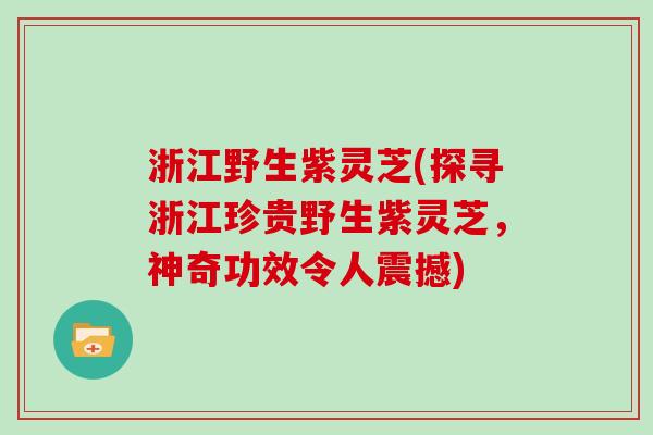 浙江野生紫灵芝(探寻浙江珍贵野生紫灵芝,神奇功效令人震撼) 浙江野生紫灵芝(探寻浙江珍贵野生紫灵芝,神奇功效令人震撼)