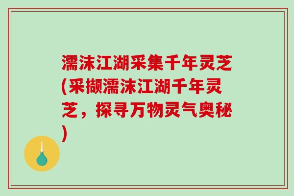 濡沫江湖采集千年灵芝(采撷濡沫江湖千年灵芝，探寻万物灵气奥秘)