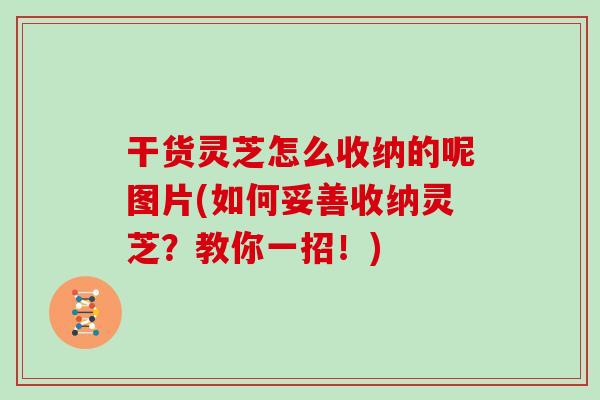 干货灵芝怎么收纳的呢图片(如何妥善收纳灵芝？教你一招！)