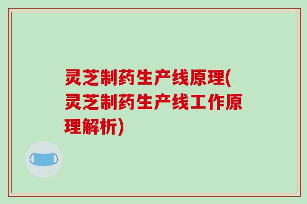 灵芝制药生产线原理(灵芝制药生产线工作原理解析)