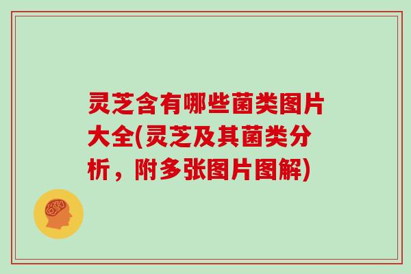 灵芝含有哪些菌类图片大全(灵芝及其菌类分析,附多张图片图解) 灵芝含有哪些菌类图片大全(灵芝及其菌类分析,附多张图片图解)
