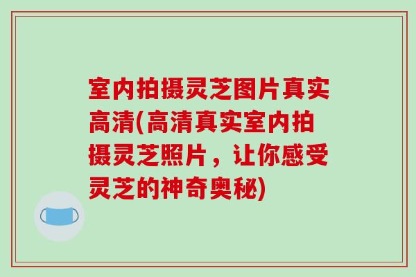 室内拍摄灵芝图片真实高清(高清真实室内拍摄灵芝照片，让你感受灵芝的神奇奥秘)