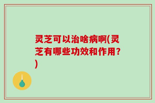 灵芝可以啥啊(灵芝有哪些功效和作用？)