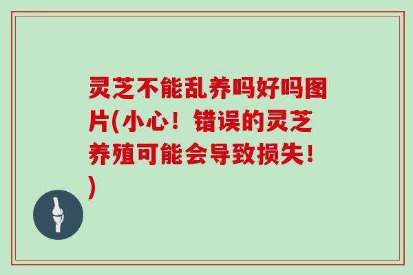灵芝不能乱养吗好吗图片(小心!错误的灵芝养殖可能会导致损失!) 灵芝不能乱养吗好吗图片(小心!错误的灵芝养殖可能会导致损失!)