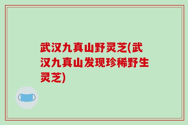 武汉九真山野灵芝(武汉九真山发现珍稀野生灵芝) 武汉九真山野灵芝(武汉九真山发现珍稀野生灵芝)
