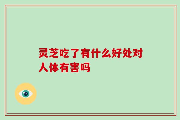 灵芝吃了有什么好处对人体有害吗 灵芝吃了有什么好处对人体有害吗