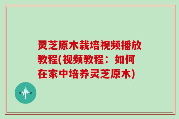 灵芝原木栽培视频播放教程(视频教程:如何在家中培养灵芝原木) 灵芝原木栽培视频播放教程(视频教程:如何在家中培养灵芝原木)