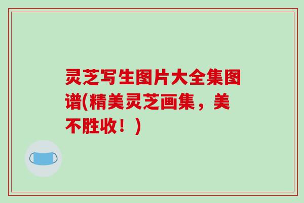 灵芝写生图片大全集图谱(精美灵芝画集，美不胜收！)