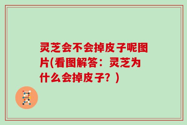 灵芝会不会掉皮子呢图片(看图解答:灵芝为什么会掉皮子?) 灵芝会不会掉皮子呢图片(看图解答:灵芝为什么会掉皮子?)
