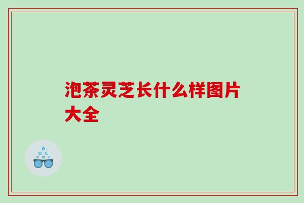 泡茶灵芝长什么样图片大全 泡茶灵芝长什么样图片大全