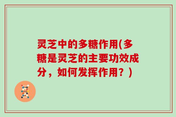 灵芝中的多糖作用(多糖是灵芝的主要功效成分,如何发挥作用?) 灵芝中的多糖作用(多糖是灵芝的主要功效成分,如何发挥作用?)