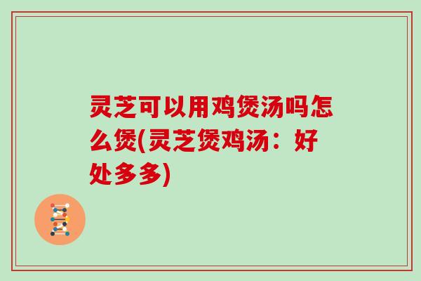 灵芝可以用鸡煲汤吗怎么煲(灵芝煲鸡汤:好处多多) 灵芝可以用鸡煲汤吗怎么煲(灵芝煲鸡汤:好处多多)