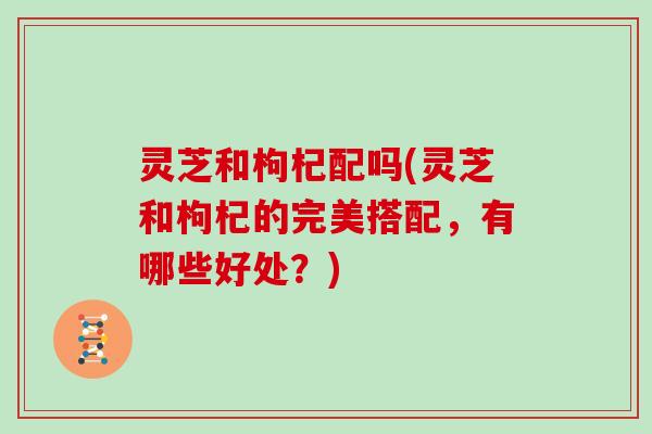 灵芝和枸杞配吗(灵芝和枸杞的完美搭配,有哪些好处?) 灵芝和枸杞配吗(灵芝和枸杞的完美搭配,有哪些好处?)