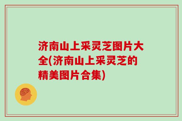 济南山上采灵芝图片大全(济南山上采灵芝的精美图片合集) 济南山上采灵芝图片大全(济南山上采灵芝的精美图片合集)