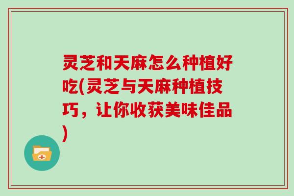 灵芝和天麻怎么种植好吃(灵芝与天麻种植技巧,让你收获美味佳品) 灵芝和天麻怎么种植好吃(灵芝与天麻种植技巧,让你收获美味佳品)