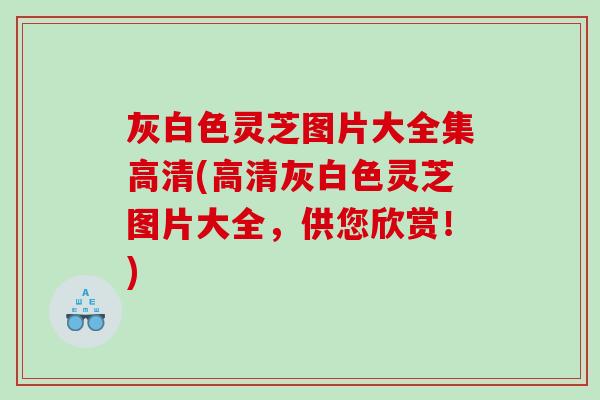 灰白色灵芝图片大全集高清(高清灰白色灵芝图片大全，供您欣赏！)