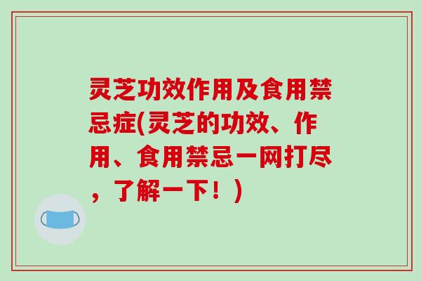 灵芝功效作用及食用禁忌症(灵芝的功效、作用、食用禁忌一网打尽,了解一下!) 灵芝功效作用及食用禁忌症(灵芝的功效、作用、食用禁忌一网打尽,了解一下!)