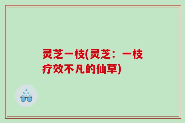灵芝一枝(灵芝:一枝疗效不凡的仙草) 灵芝一枝(灵芝:一枝疗效不凡的仙草)