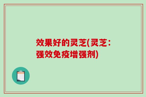 效果好的灵芝(灵芝：强效免疫增强剂)