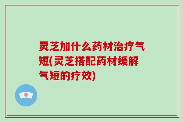 灵芝加什么药材气短(灵芝搭配药材缓解气短的疗效) 灵芝加什么药材气短(灵芝搭配药材缓解气短的疗效)