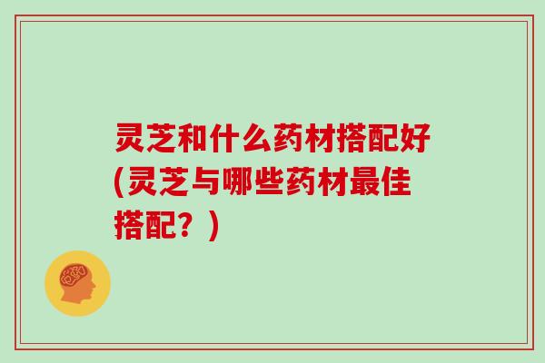 灵芝和什么药材搭配好(灵芝与哪些药材佳搭配？)