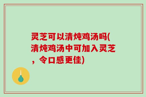 灵芝可以清炖鸡汤吗(清炖鸡汤中可加入灵芝，令口感更佳)