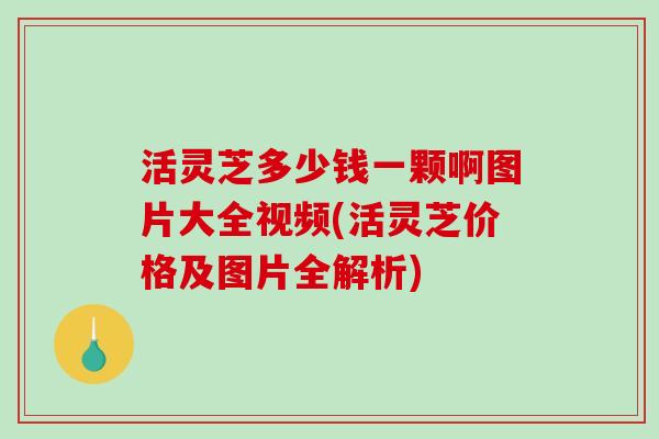 活灵芝多少钱一颗啊图片大全视频(活灵芝价格及图片全解析) 活灵芝多少钱一颗啊图片大全视频(活灵芝价格及图片全解析)