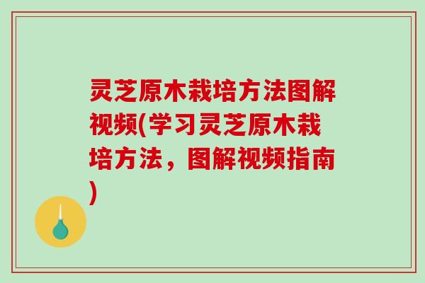 灵芝原木栽培方法图解视频(学习灵芝原木栽培方法,图解视频指南) 灵芝原木栽培方法图解视频(学习灵芝原木栽培方法,图解视频指南)