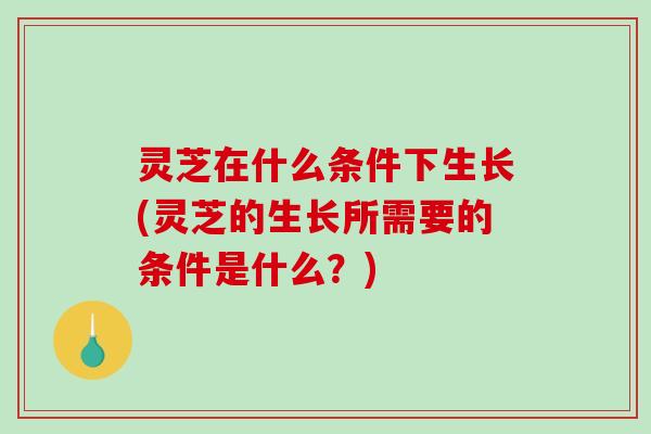 灵芝在什么条件下生长(灵芝的生长所需要的条件是什么?) 灵芝在什么条件下生长(灵芝的生长所需要的条件是什么?)