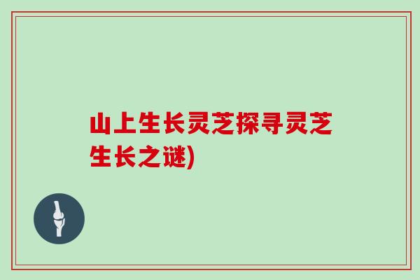 山上生长灵芝探寻灵芝生长之谜) 山上生长灵芝探寻灵芝生长之谜)
