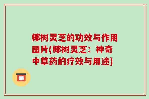 椰树灵芝的功效与作用图片(椰树灵芝:神奇中草药的疗效与用途) 椰树灵芝的功效与作用图片(椰树灵芝:神奇中草药的疗效与用途)