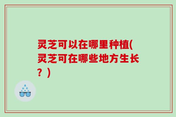 灵芝可以在哪里种植(灵芝可在哪些地方生长?) 灵芝可以在哪里种植(灵芝可在哪些地方生长?)