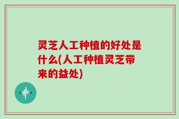 灵芝人工种植的好处是什么(人工种植灵芝带来的益处) 灵芝人工种植的好处是什么(人工种植灵芝带来的益处)