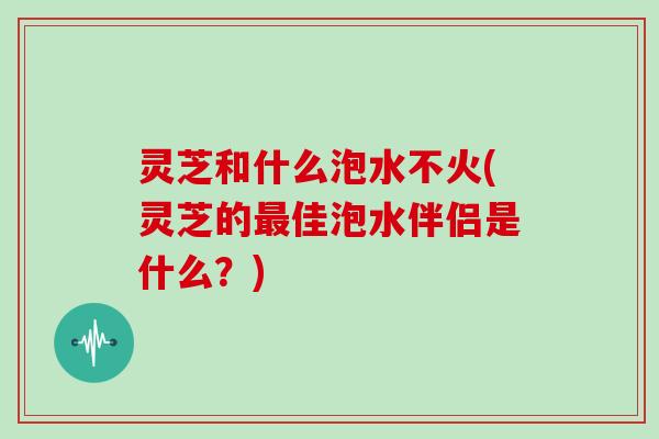 灵芝和什么泡水不火(灵芝的佳泡水伴侣是什么？)