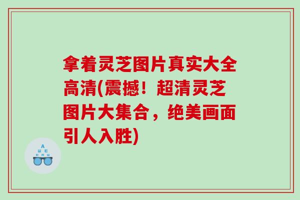 拿着灵芝图片真实大全高清(震撼!超清灵芝图片大集合,绝美画面引人入胜) 拿着灵芝图片真实大全高清(震撼!超清灵芝图片大集合,绝美画面引人入胜)