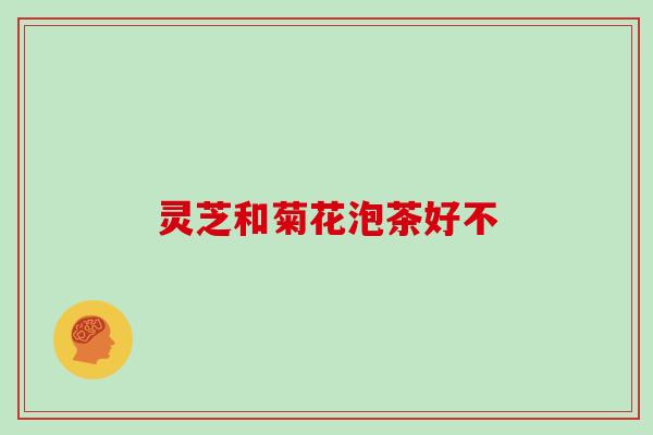 灵芝和菊花泡茶好不 灵芝和菊花泡茶好不