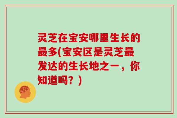 灵芝在宝安哪里生长的多(宝安区是灵芝发达的生长地之一,你知道吗?) 灵芝在宝安哪里生长的多(宝安区是灵芝发达的生长地之一,你知道吗?)